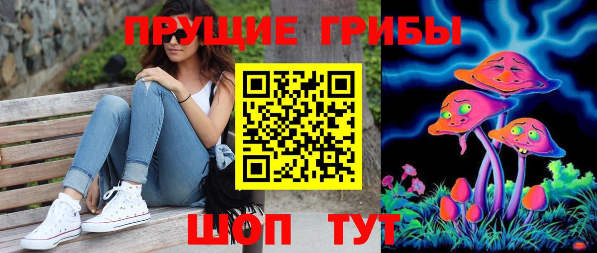 Галлюциногенные грибы Cubensis Кохма